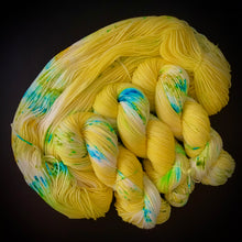 Load image into Gallery viewer, STRUT BITCH STRUT DK :  &quot;MERINO/NYLON&quot;